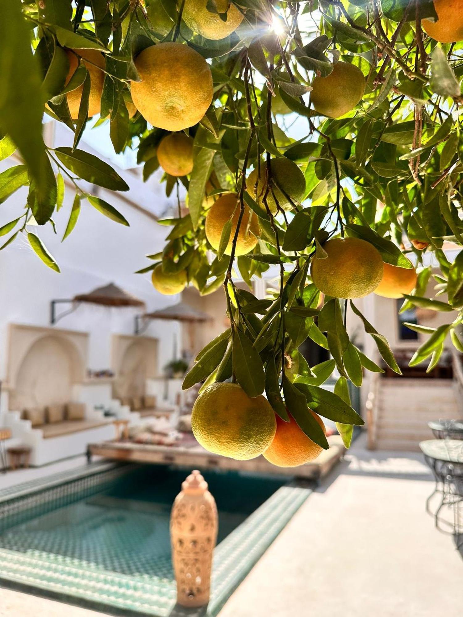 Dar Salam Souss Taroudant Exterior foto